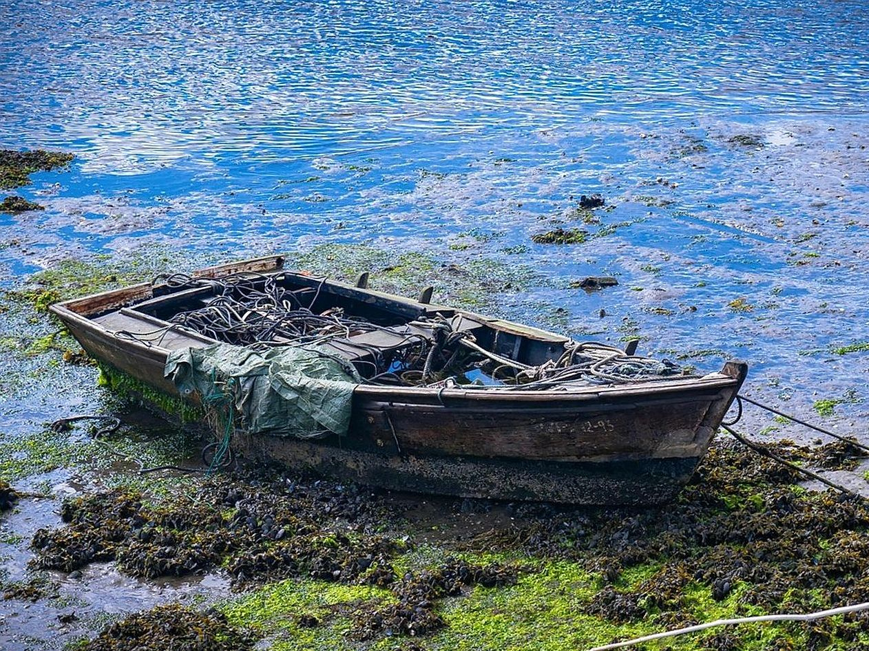 Proyecto de contenido educativo sobre anglers