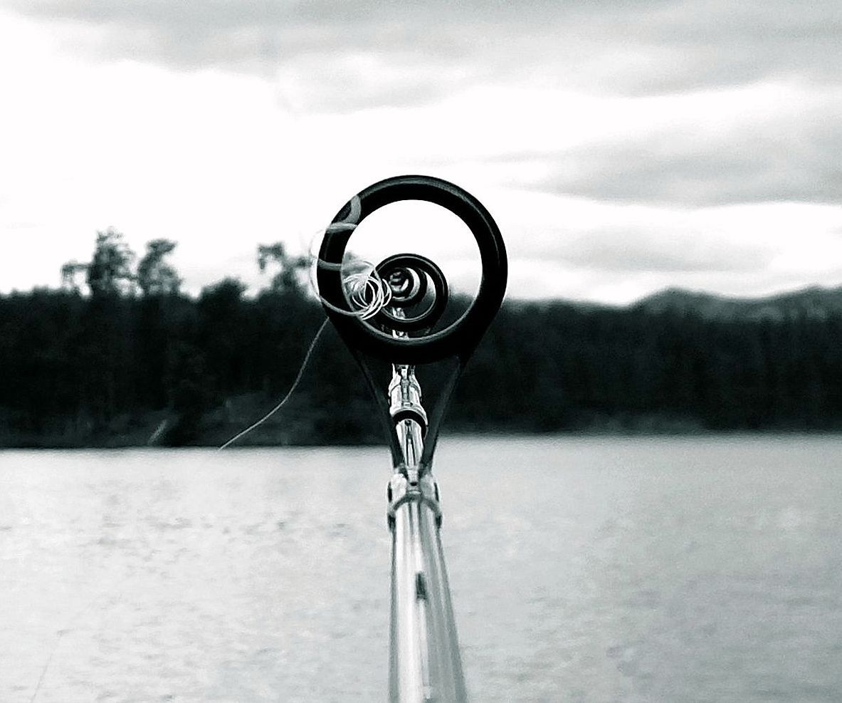 Una sesión de estrategia de pesca en progreso