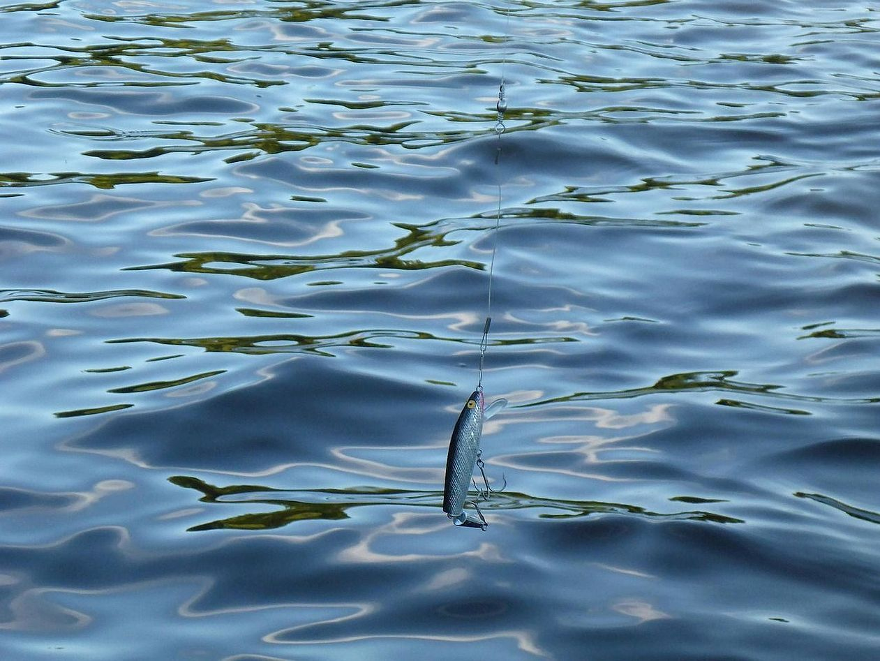 Proyecto de optimización de lugares de pesca